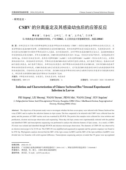 CSBV_的分离鉴定及其感染幼虫后的应答反应
