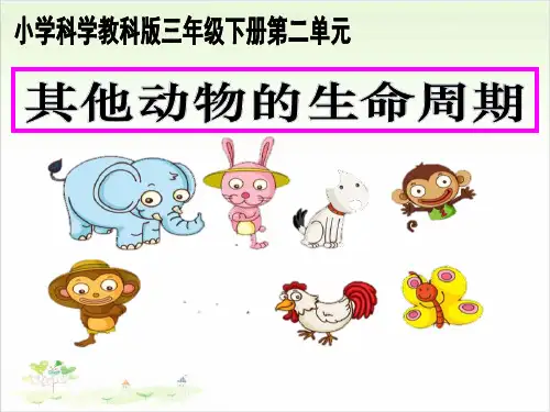 三年级下册公开课-《其他动物的生命周期》教科版课件下载