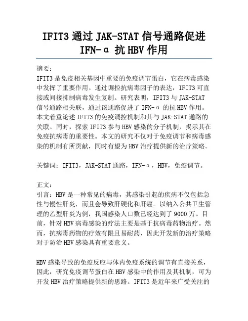 IFIT3通过JAK-STAT信号通路促进IFN-α抗HBV作用
