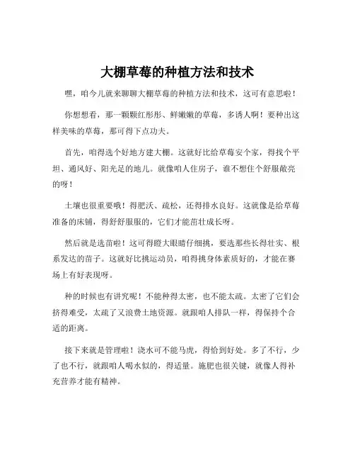 大棚草莓的种植方法和技术