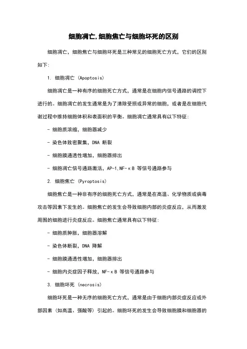 细胞凋亡,细胞焦亡与细胞坏死的区别