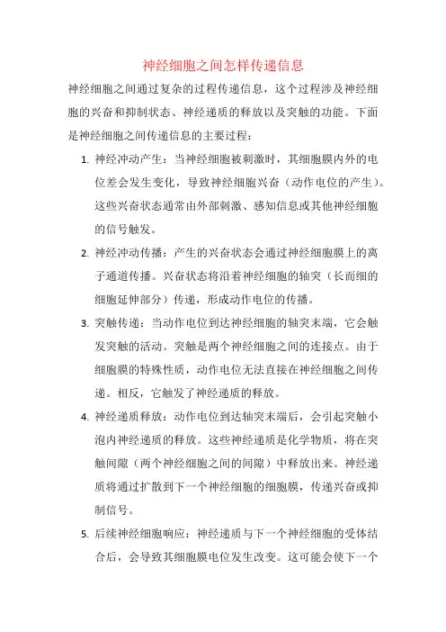 神经细胞之间怎样传递信息