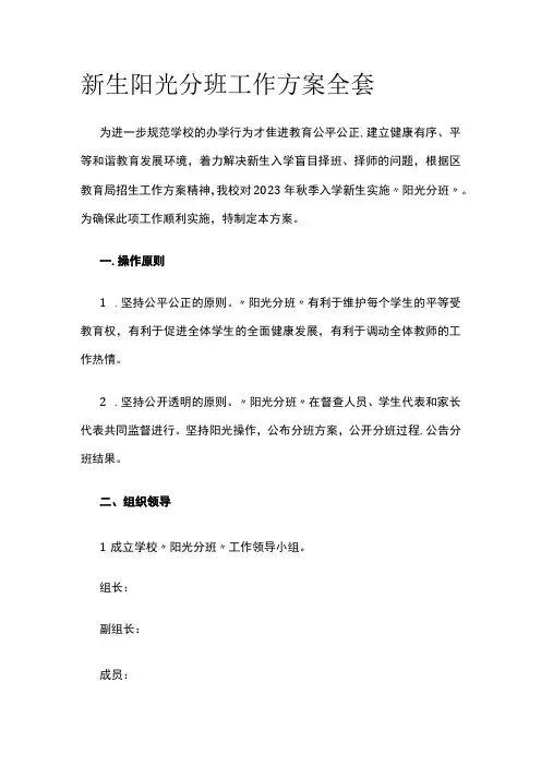 新生阳光分班工作方案全套