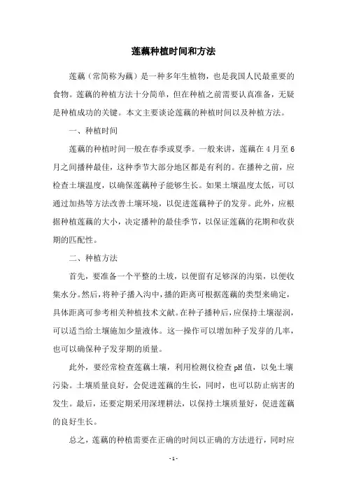 莲藕种植时间和方法