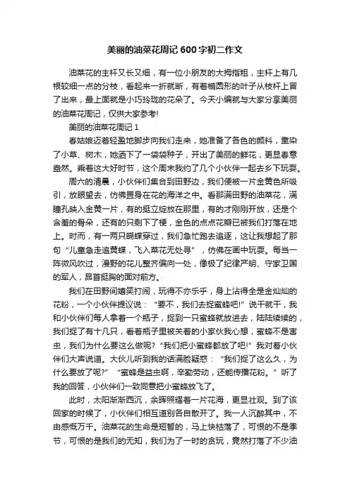 美丽的油菜花周记600字初二作文