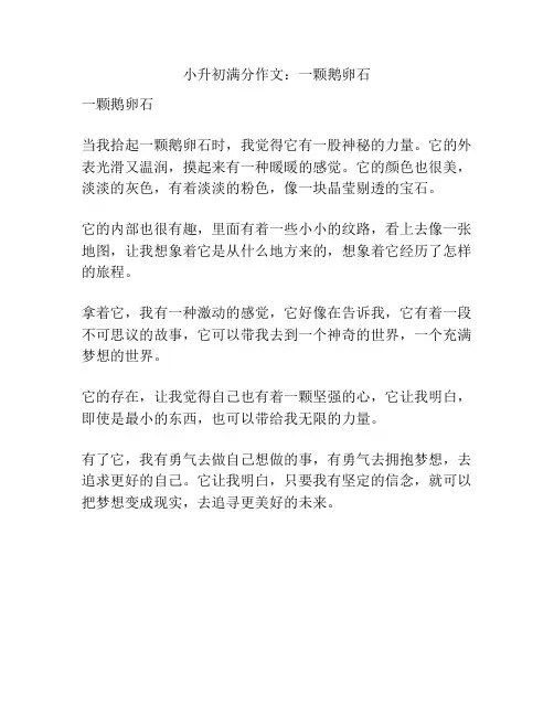 小升初满分作文：一颗鹅卵石