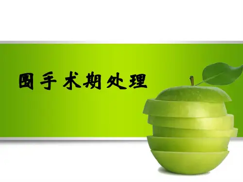 围手术期处理PPT课件