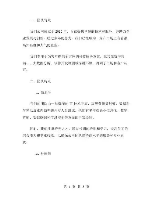 公司团队描述范文