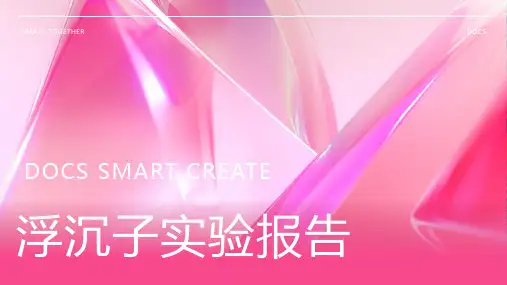 浮沉子实验