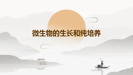 微生物的生长和纯培养