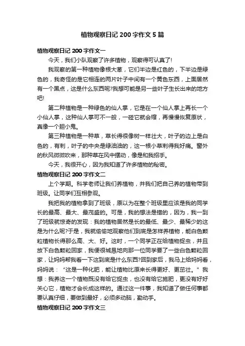 植物观察日记200字作文5篇