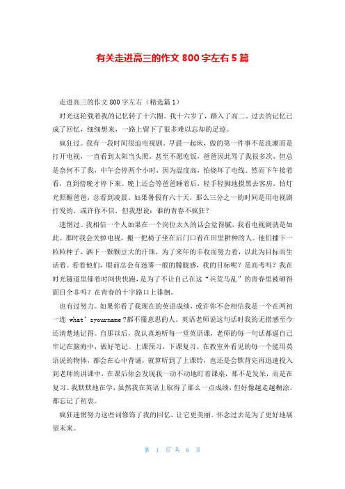 有关走进高三的作文800字左右5篇