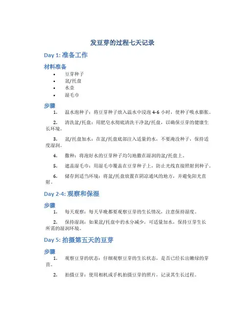 发豆芽的过程七天记录