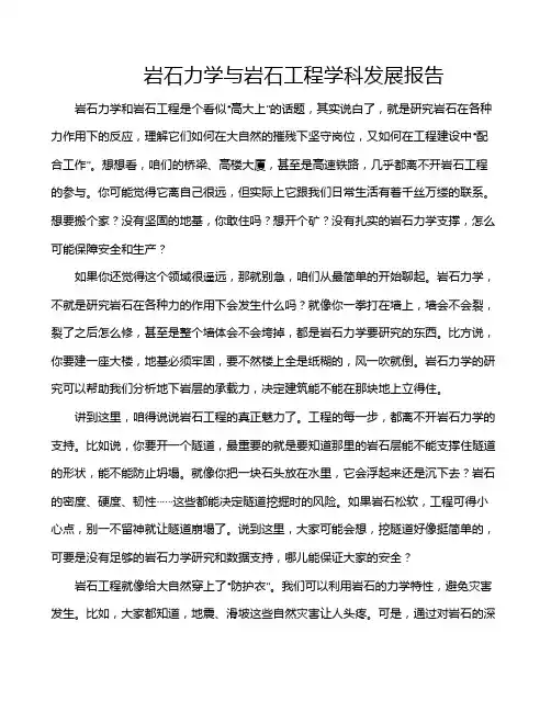 岩石力学与岩石工程学科发展报告