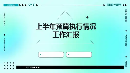 上半年预算执行情况工作汇报PPT