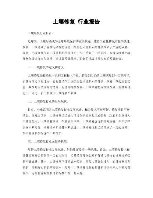 土壤修复 行业报告