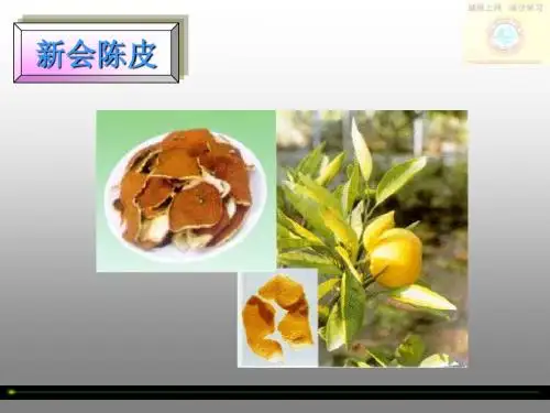 陈皮