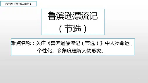 最新部编版人教版小学六年级语文下册《鲁滨逊漂流记(节选)》教学课件