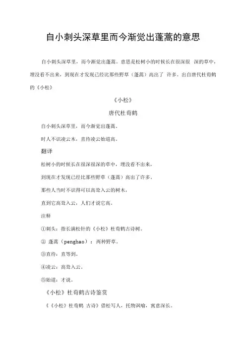 自小刺头深草里而今渐觉出蓬蒿的意思