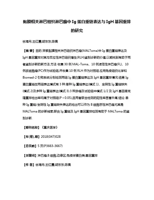 黏膜相关淋巴组织淋巴瘤中Ig蛋白重链表达与IgH基因重排的研究