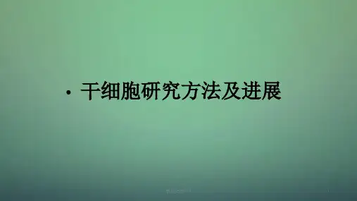 干细胞研究方法及进展ppt课件