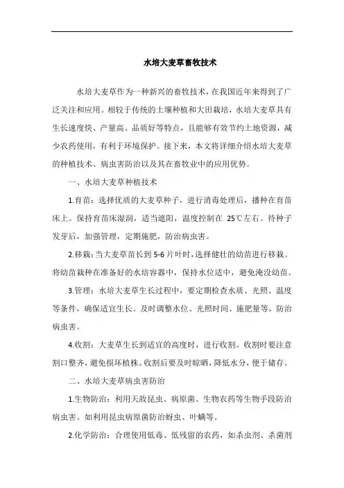 水培大麦草畜牧技术