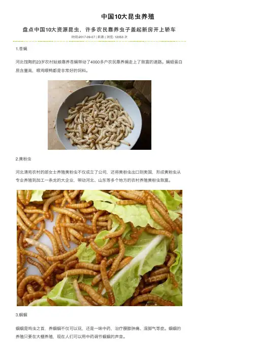 中国10大昆虫养殖