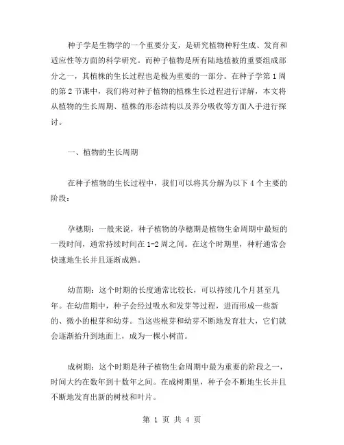 种子学第1周2课时教案：种子植物植株生长过程详解