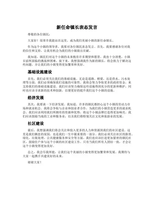 新任命镇长表态发言