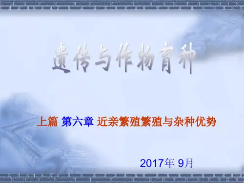 基础六 近亲繁殖繁殖与杂种优势