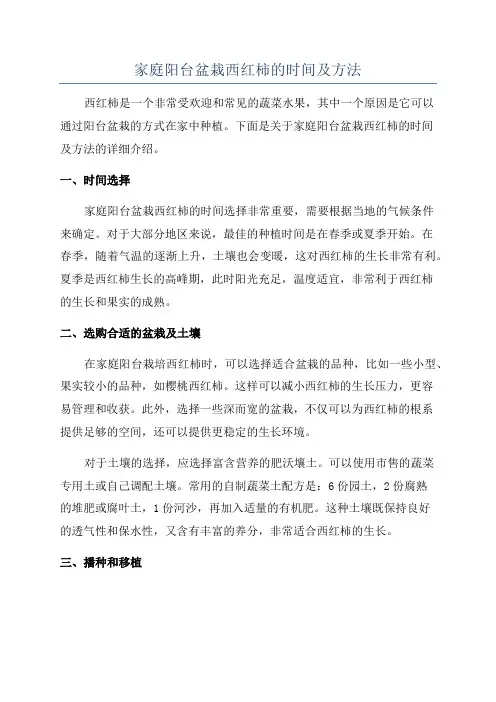 家庭阳台盆栽西红柿的时间及方法