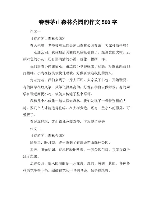 春游茅山森林公园的作文500字