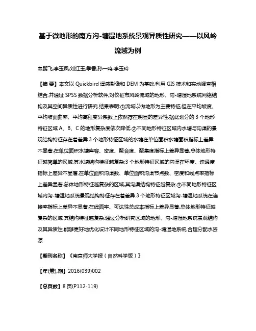 基于微地形的南方沟-塘湿地系统景观异质性研究——以风岭流域为例