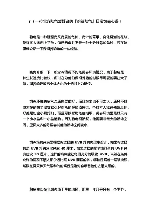 ？？一位北方陆龟爱好者的『豹纹陆龟』日常饲养心得！