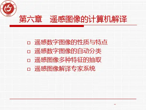遥感图像的计算机解译PPT课件
