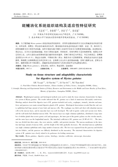 斑鳠消化系统组织结构及适应性特征研究