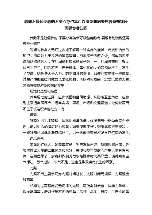 养鹅不是随便养的不要心存侥幸可以避免鹅病要想养鹅赚钱还需要专业知识