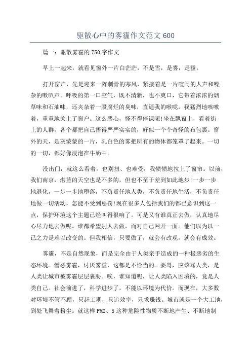 驱散心中的雾霾作文范文600