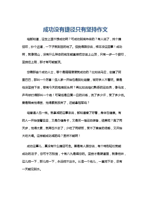 成功没有捷径只有坚持作文
