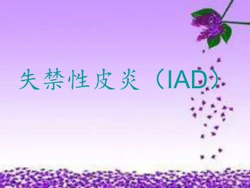 失禁性皮炎98ppt课件