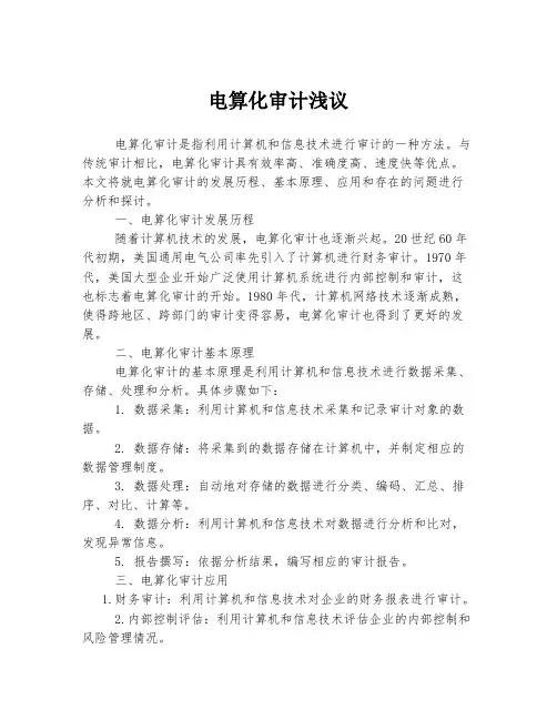 电算化审计浅议