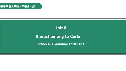 九年级Unit8_SectionA(Grammar_Focus-4c)语法课课件