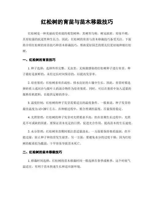红松树的育苗与苗木移栽技巧