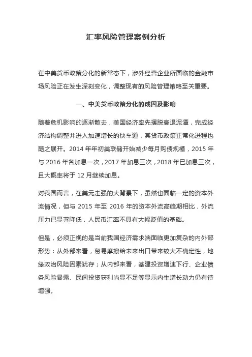 汇率风险管理案例分析