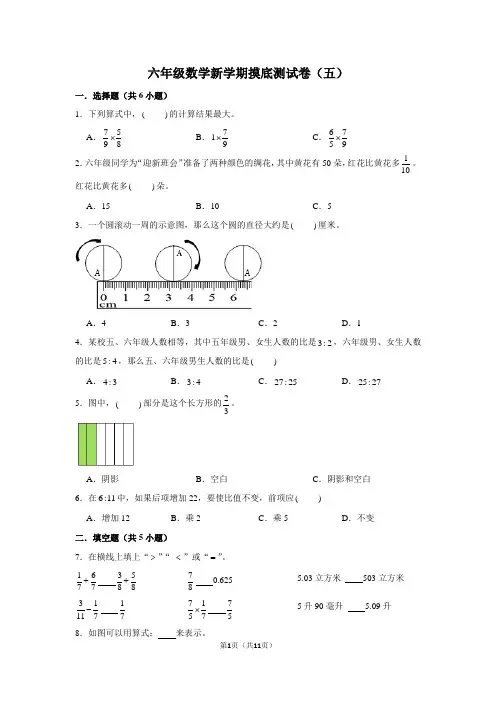 六年级数学新学期摸底测试卷(五)