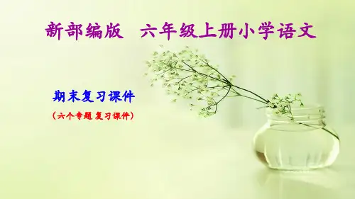 六年级上册语文期末复习课件(按专题分类复习)PPT