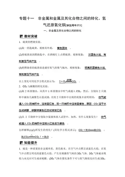2020届中考科学教材实验突破讲义：专题十一 非金属和金属及其化合物之间的转化、氢气还原氧化铜