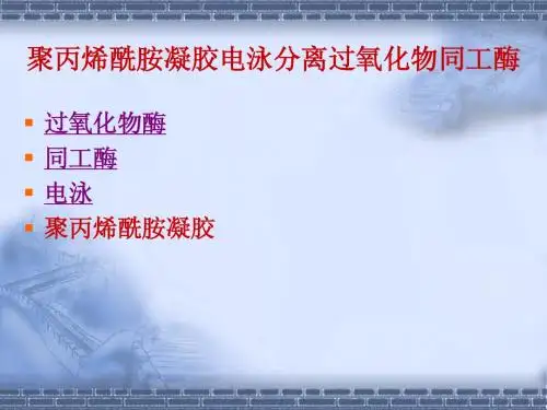 分离过氧化物同工酶