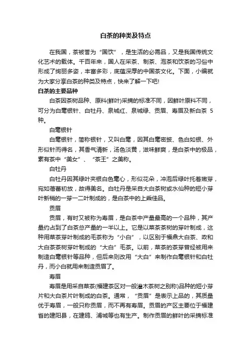 白茶的种类及特点