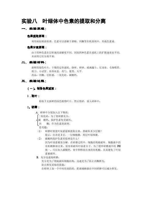 实验八叶绿体中色素的提取和分离